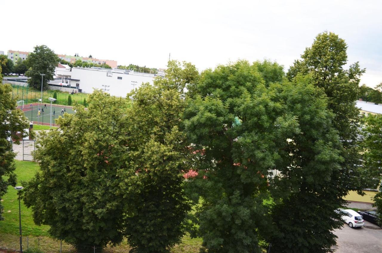 Blue_Loft Apartment Sandomierz Bagian luar foto