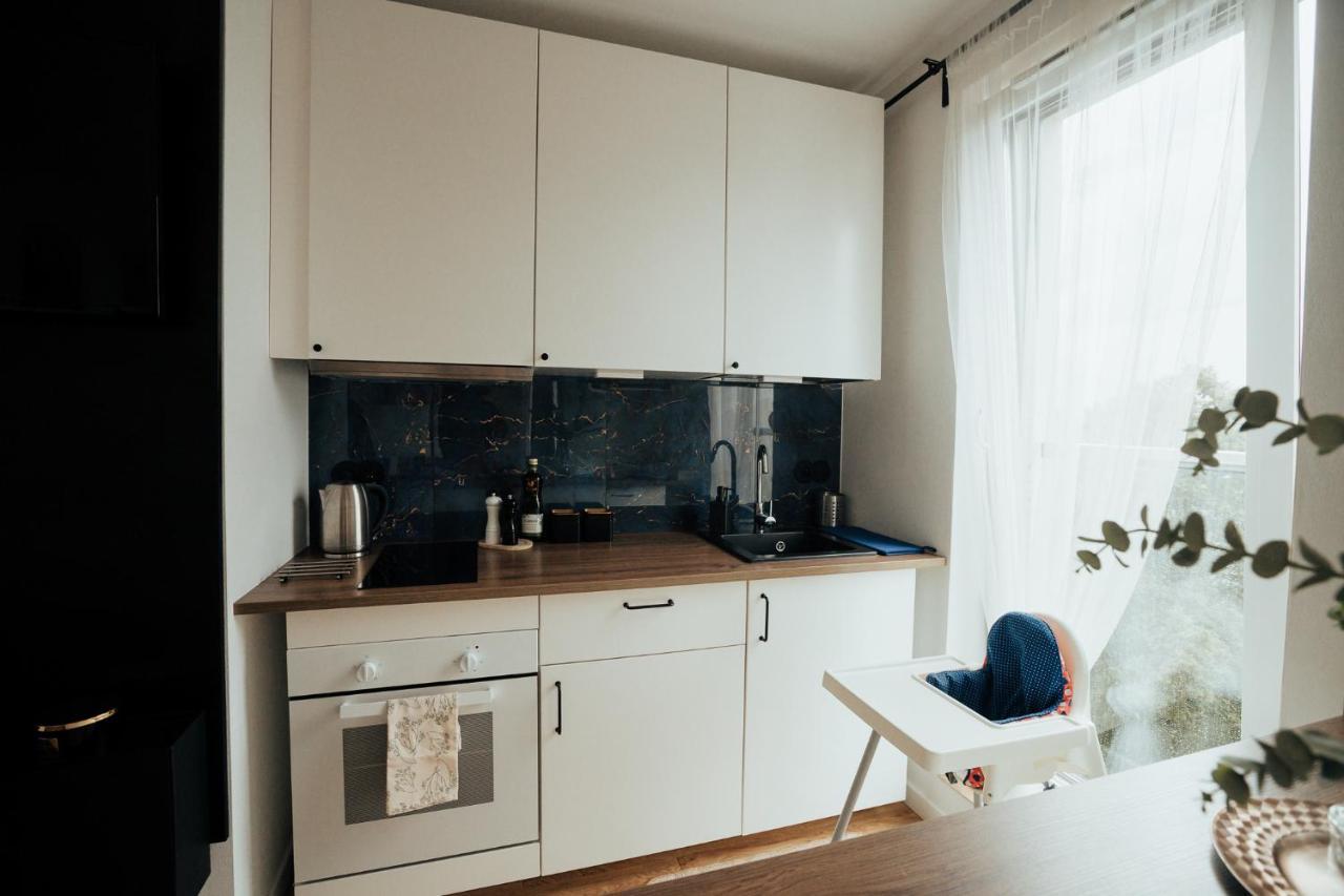 Blue_Loft Apartment Sandomierz Bagian luar foto