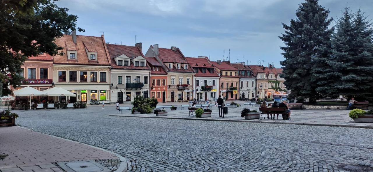 Blue_Loft Apartment Sandomierz Bagian luar foto